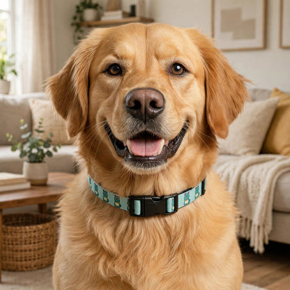A golden retriever wearing the mint Scowl collar in a living room, showing the grumpy teal cat pattern.